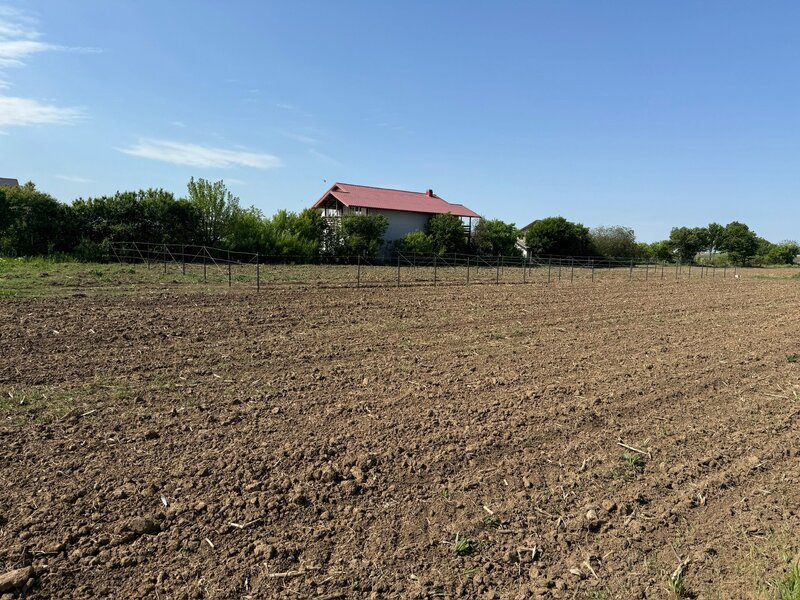 Ciorogarla, str. Cartonari,