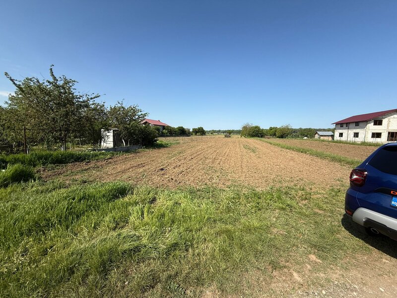 Ciorogarla, str. Cartonari,