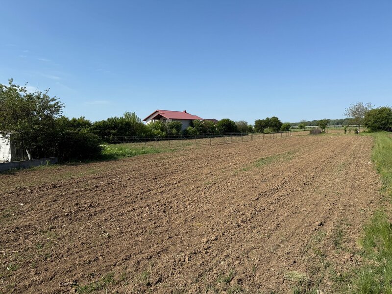 Ciorogarla, str. Cartonari,