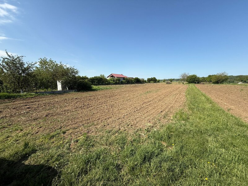 Ciorogarla, str. Cartonari,